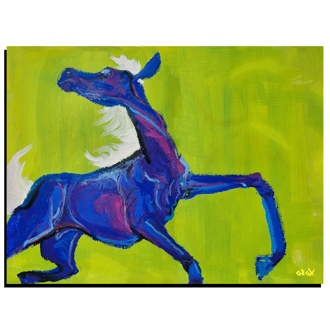 Bronco Art Print