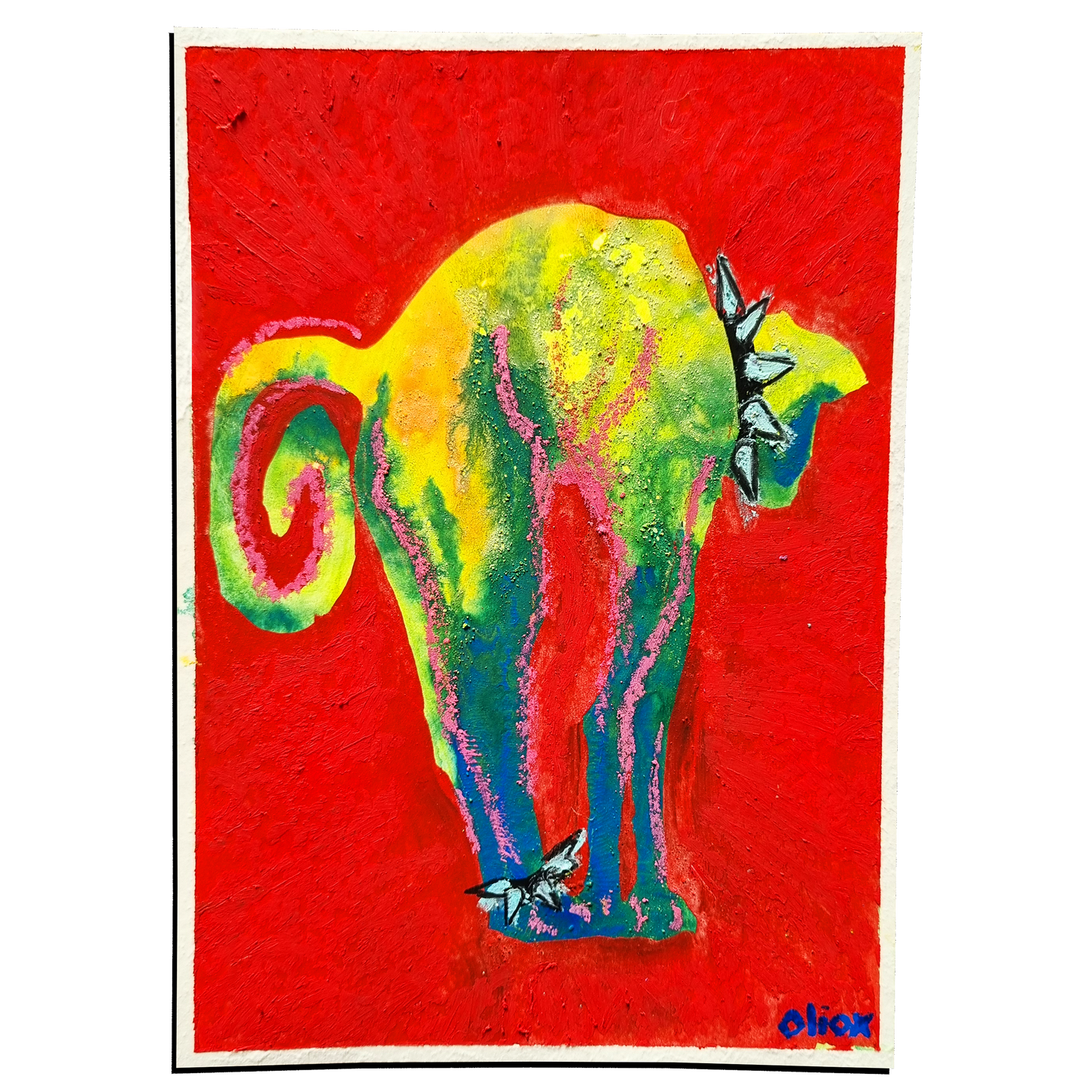 Cool Cat, A5
