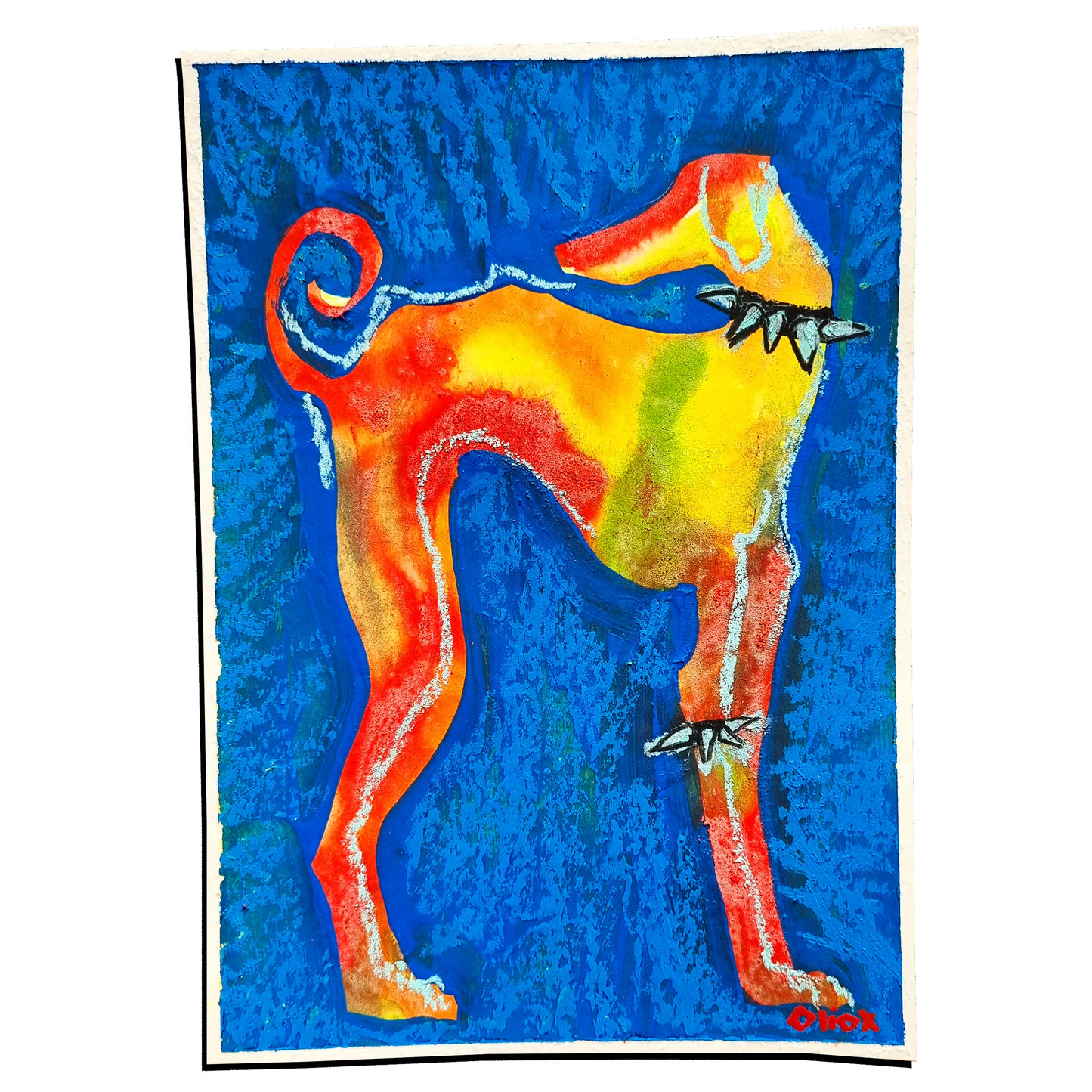 Punk Pup, A5